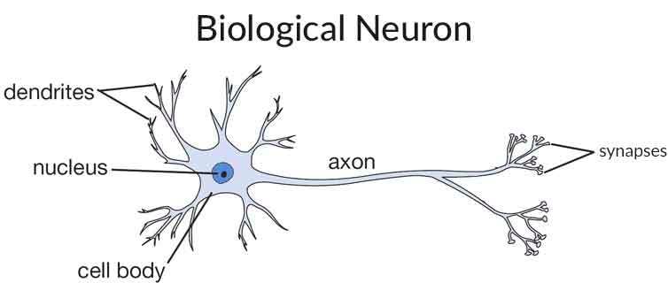 R中的神经网络模型1